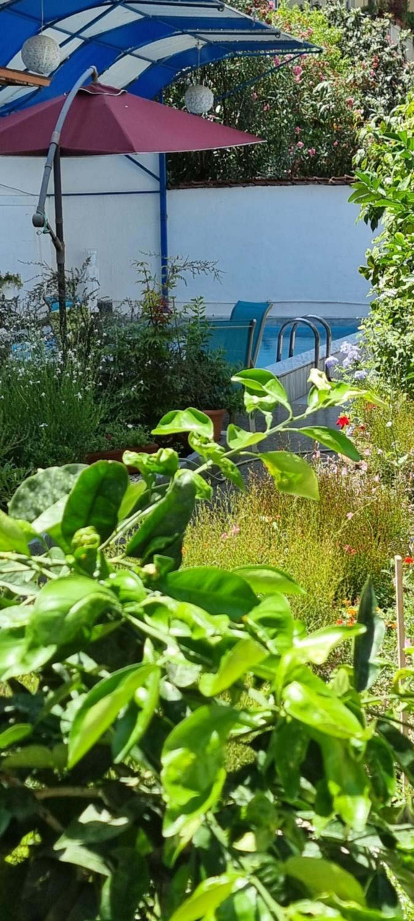 Garden Guest House