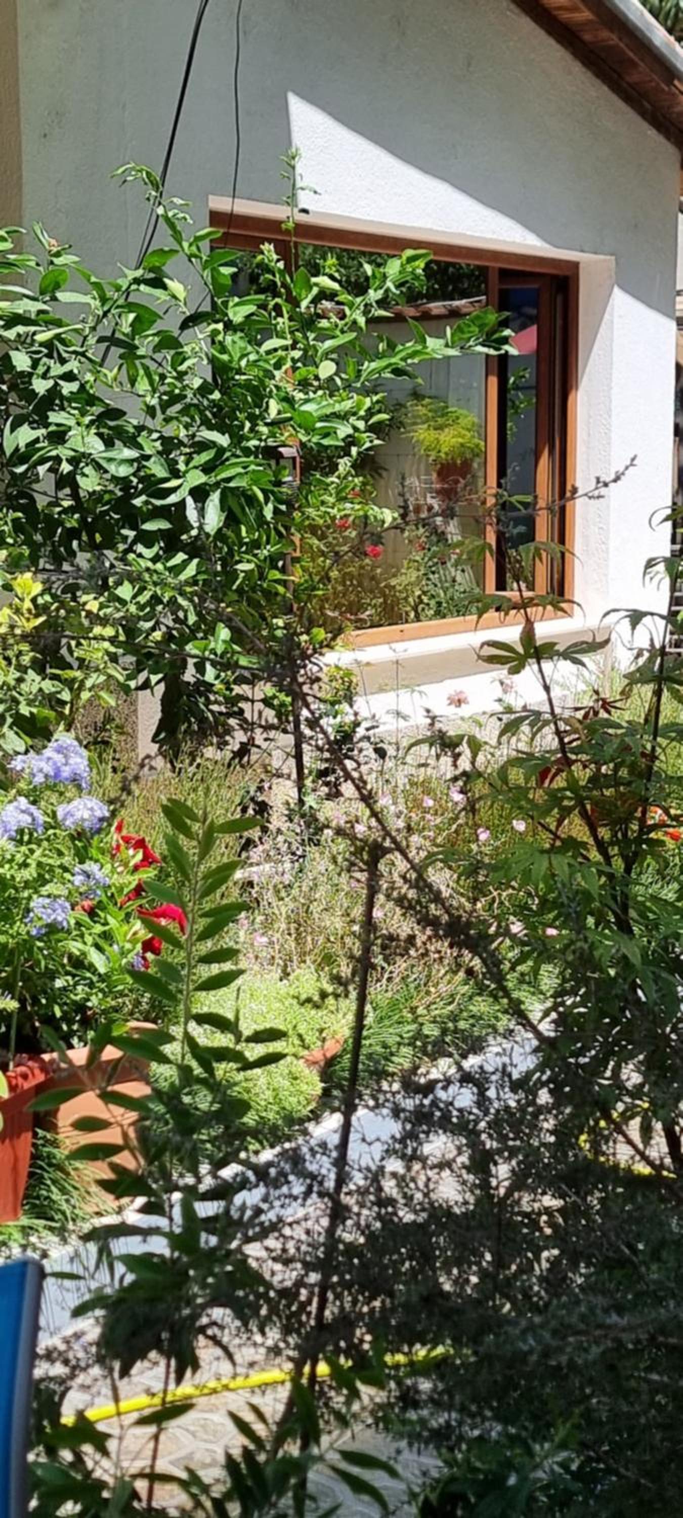 Garden Guest House