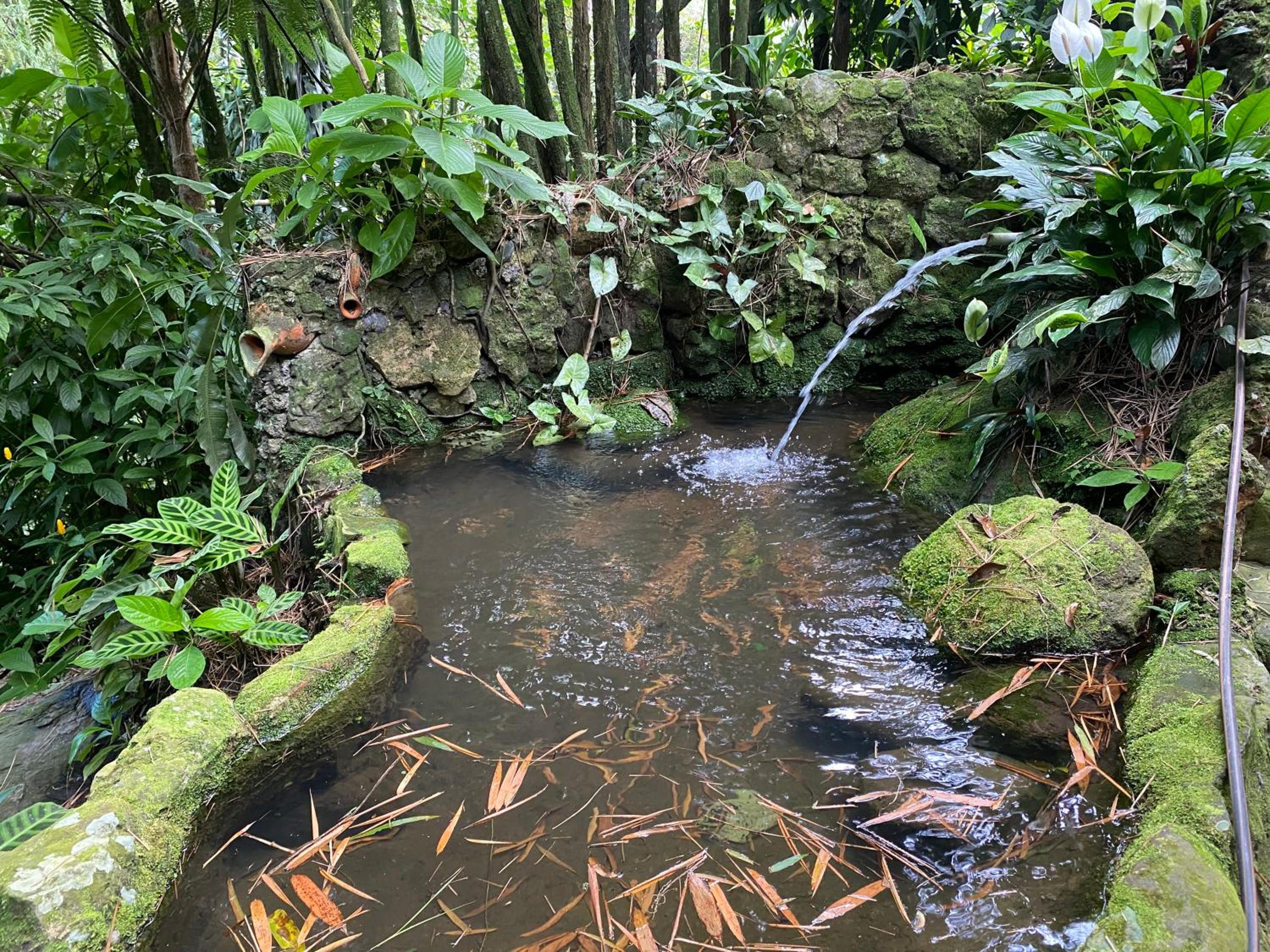 Finca El Remanso La Vega