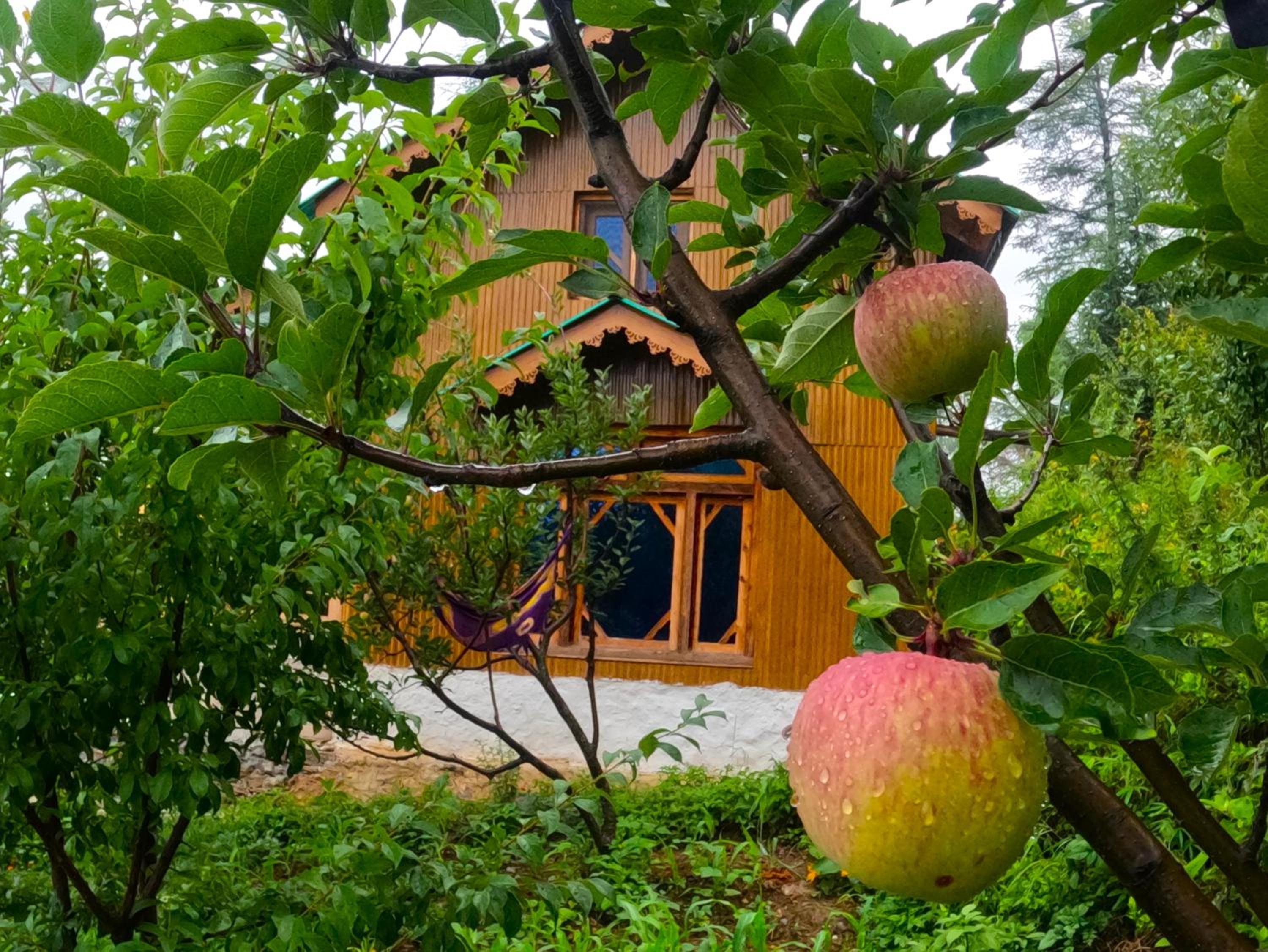 Yathra Lahari Farm Stay view 2
