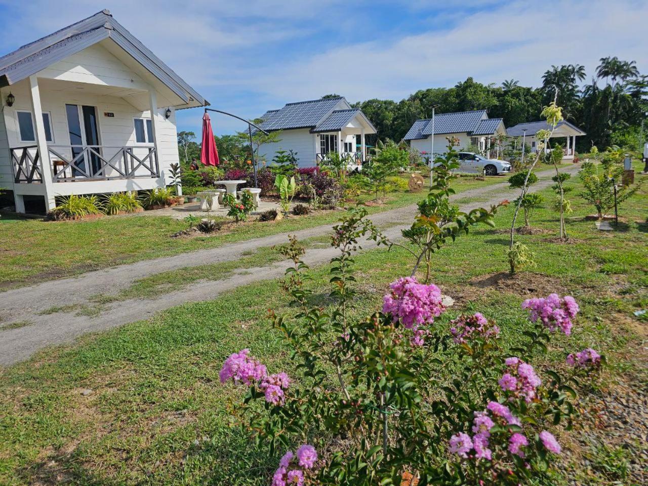 Badungun Seaside View
