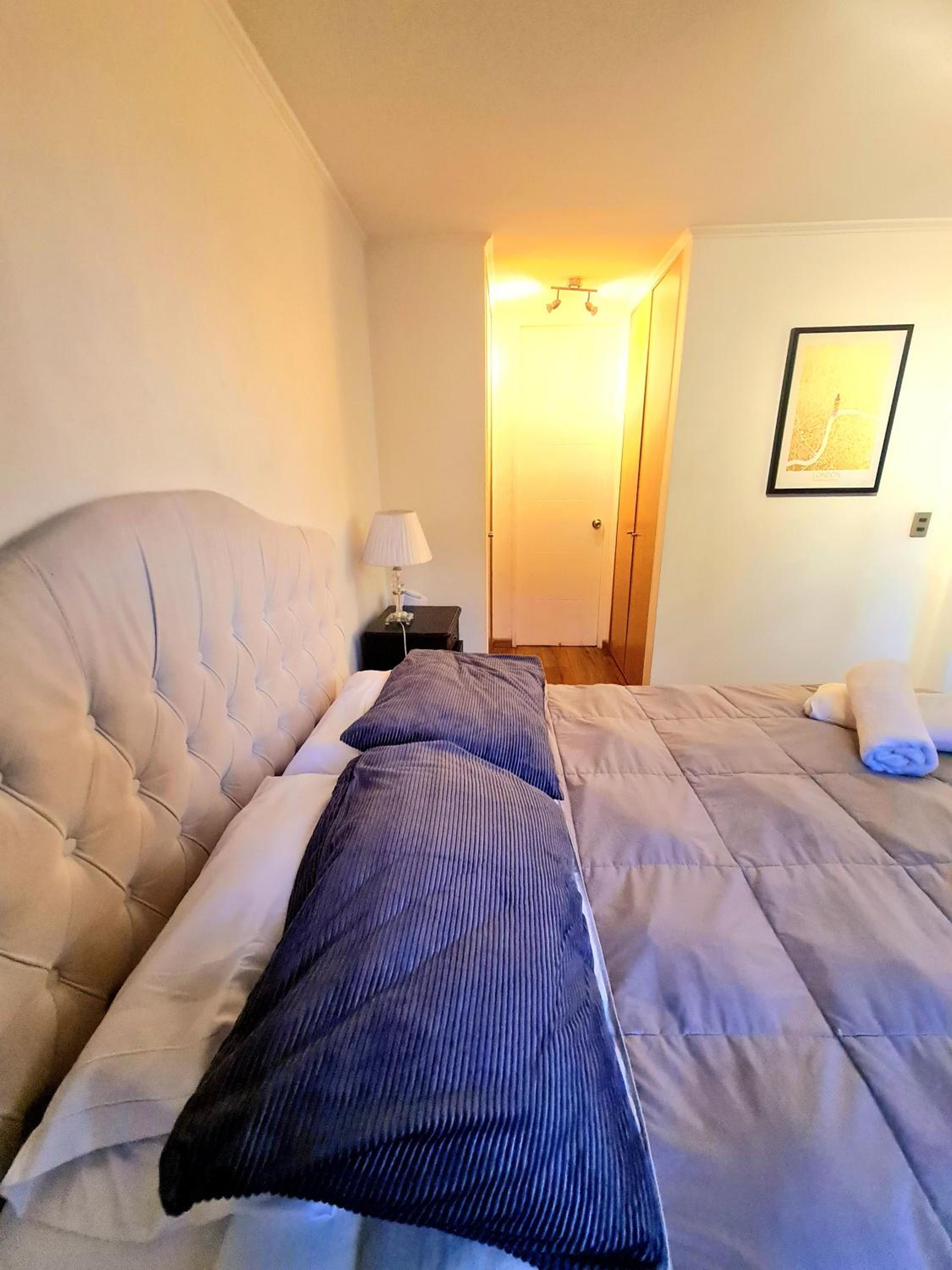 Apartamento acogedor - Hospital UC - Santiago Centro
