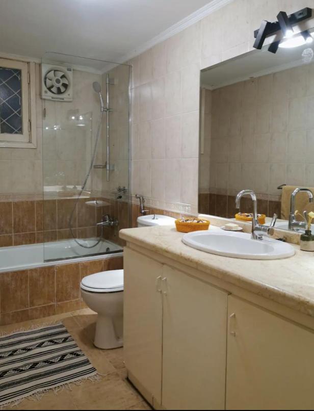 Luxury On the Nile - Zamalek Apartments