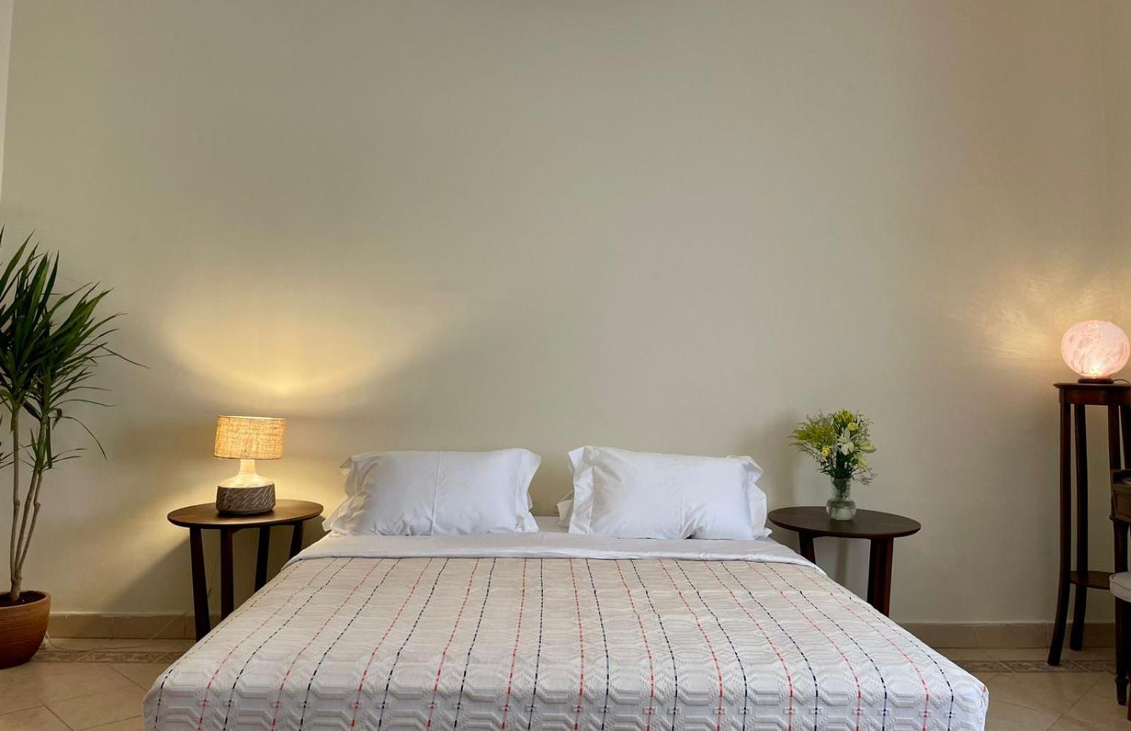 Luxury On the Nile - Zamalek Apartments