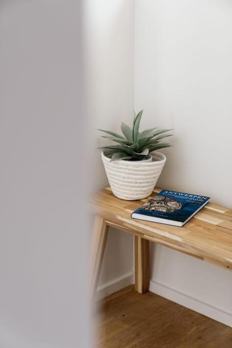 Mooi licht appartement in bruisend Antwerpen!