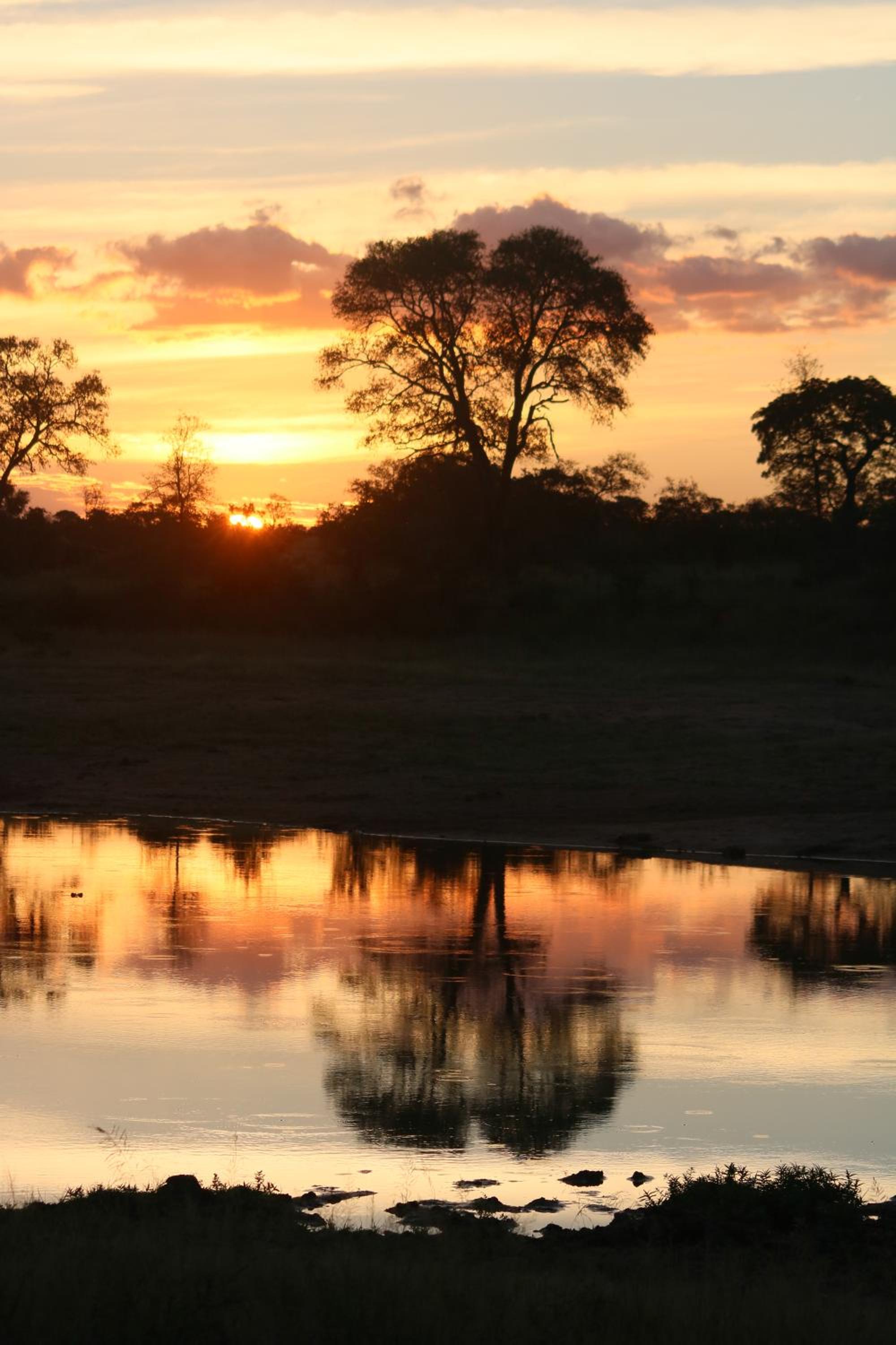 Rhino Walking Safaris