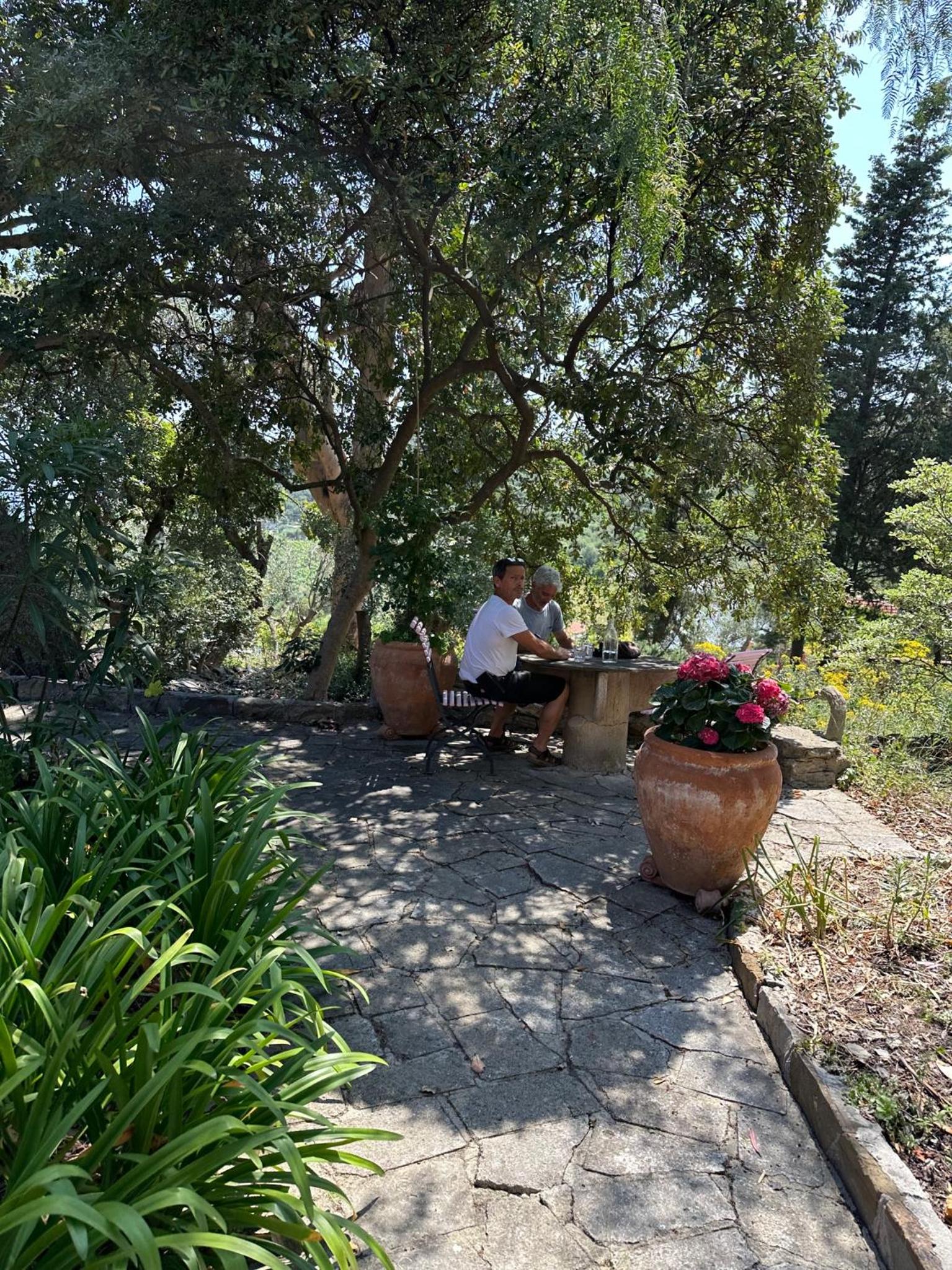Photo 28