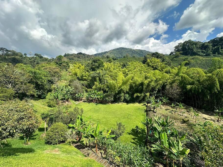 Casa con piscina a las afueras de Armenia