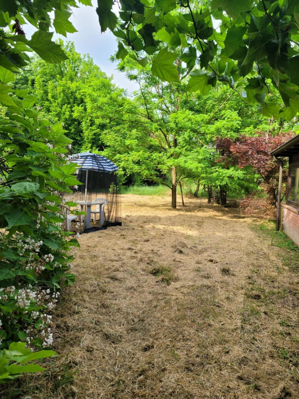 B&B Arcadia view 2