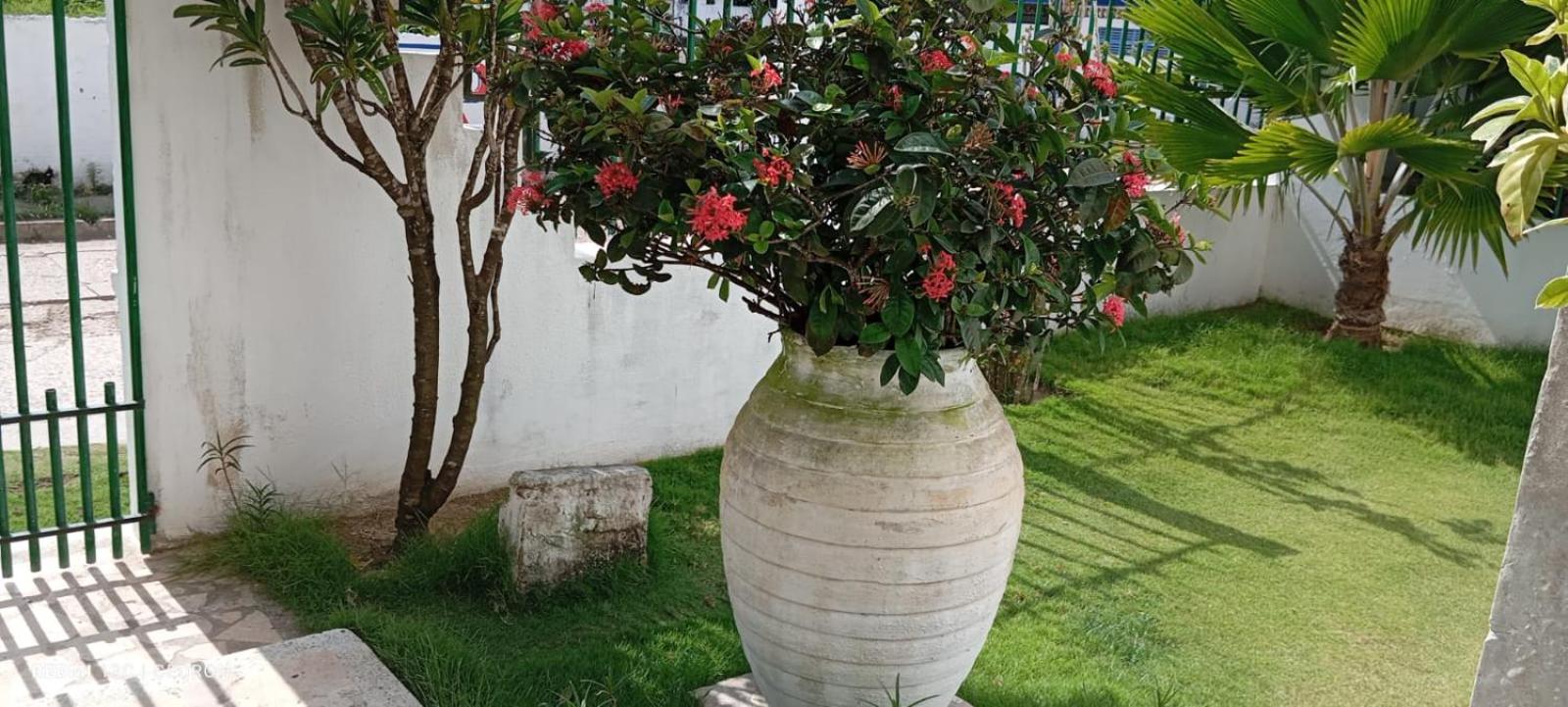 Tolú mágico, apartamentos amoblados con vista al mar, Elegancia y comodidad