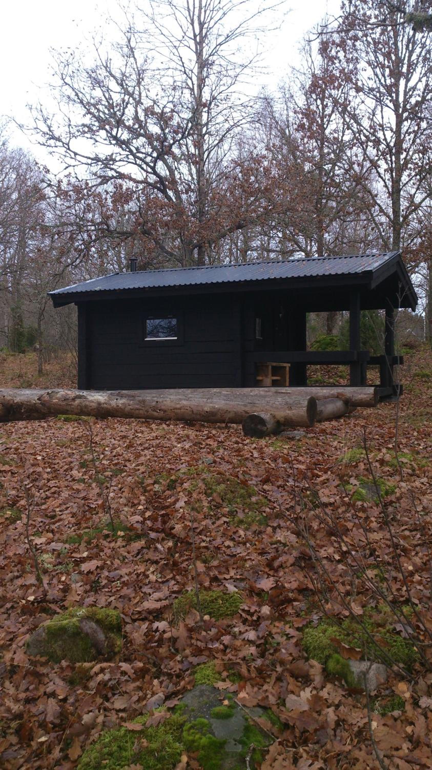 Photo 12