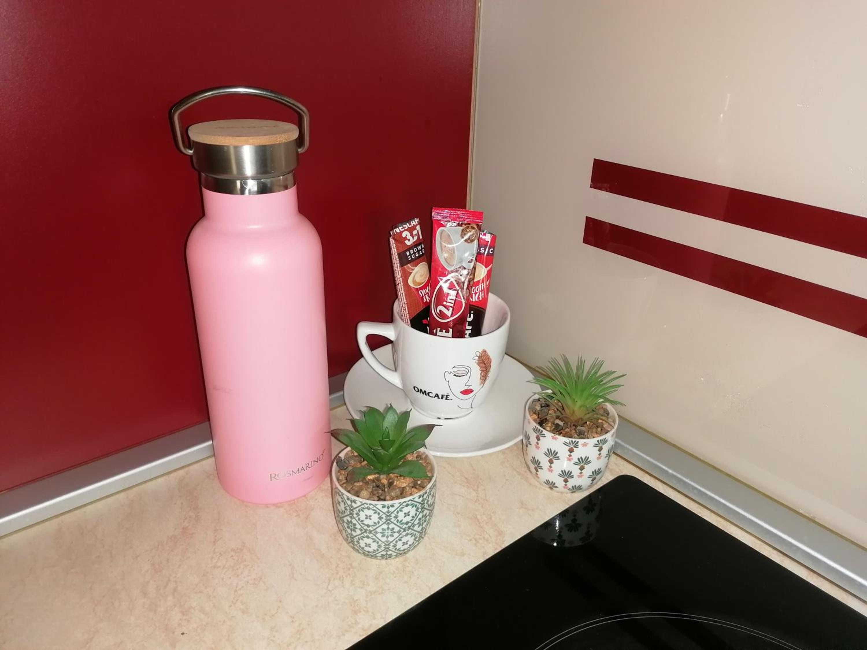 Comfort apartment in city center