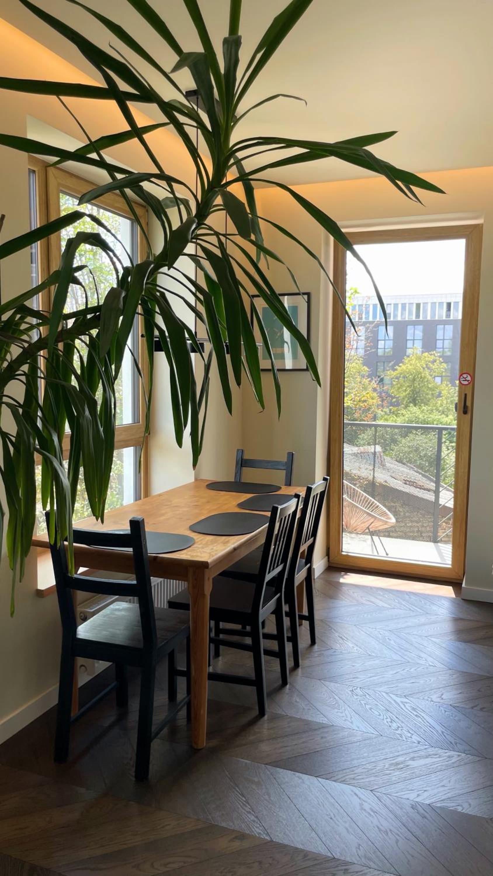 Floral Sunshine Apartment view 2