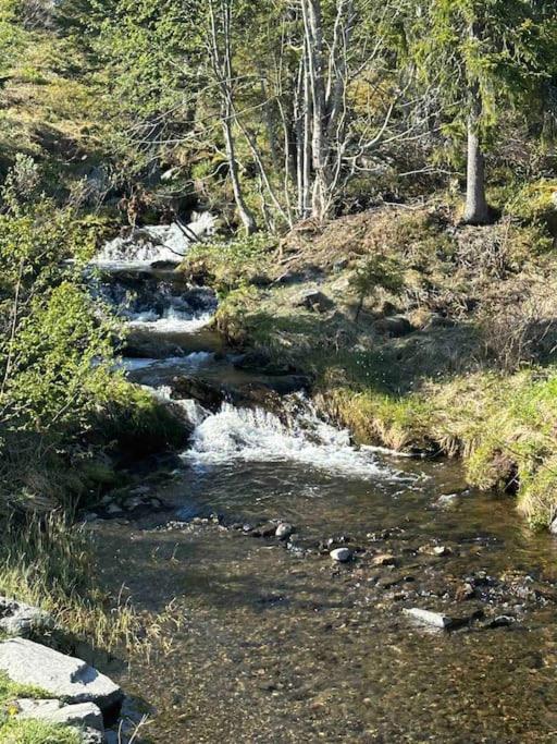 Photo 7