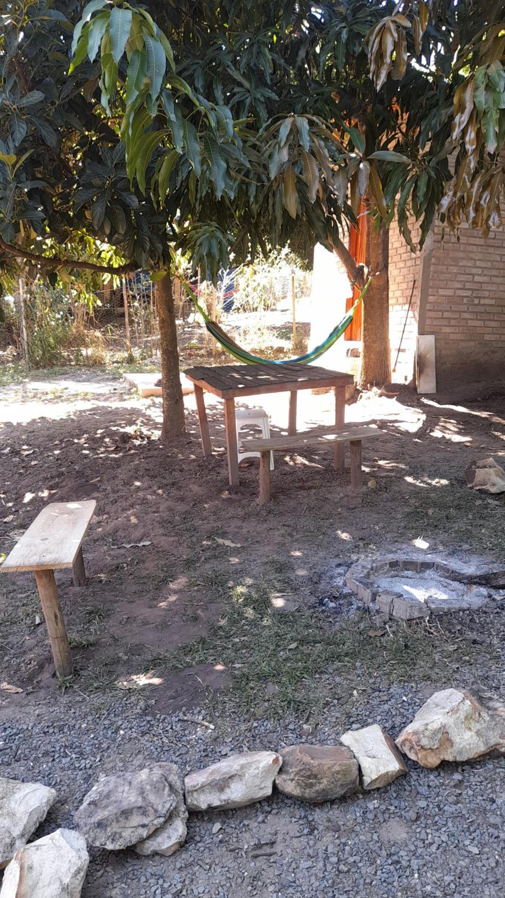 Photo 21