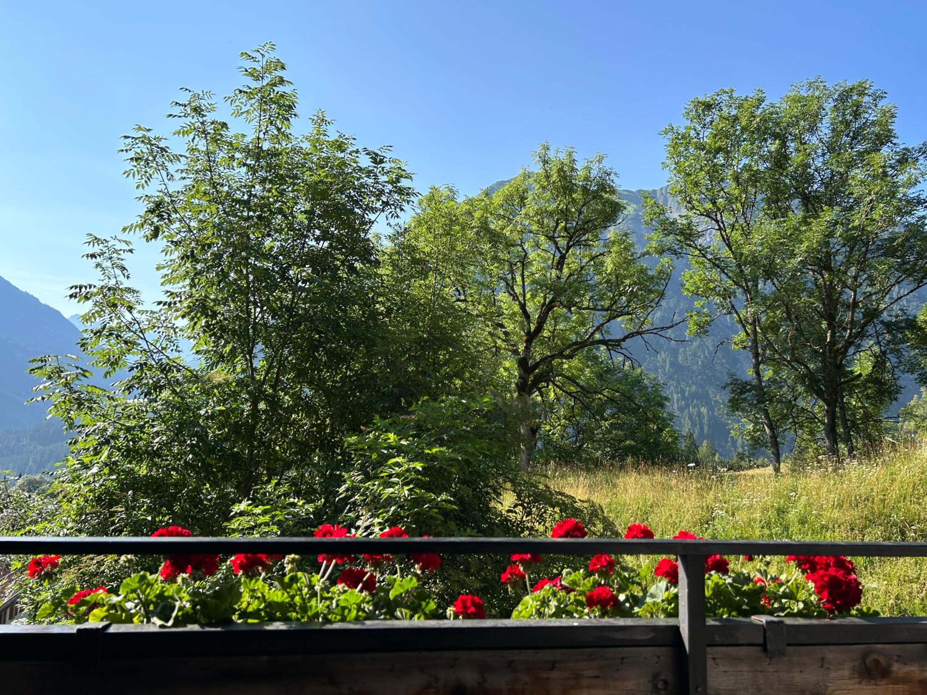 WOLF RETREAT Apartments im Lechtal davor Appartementhaus Michaela
