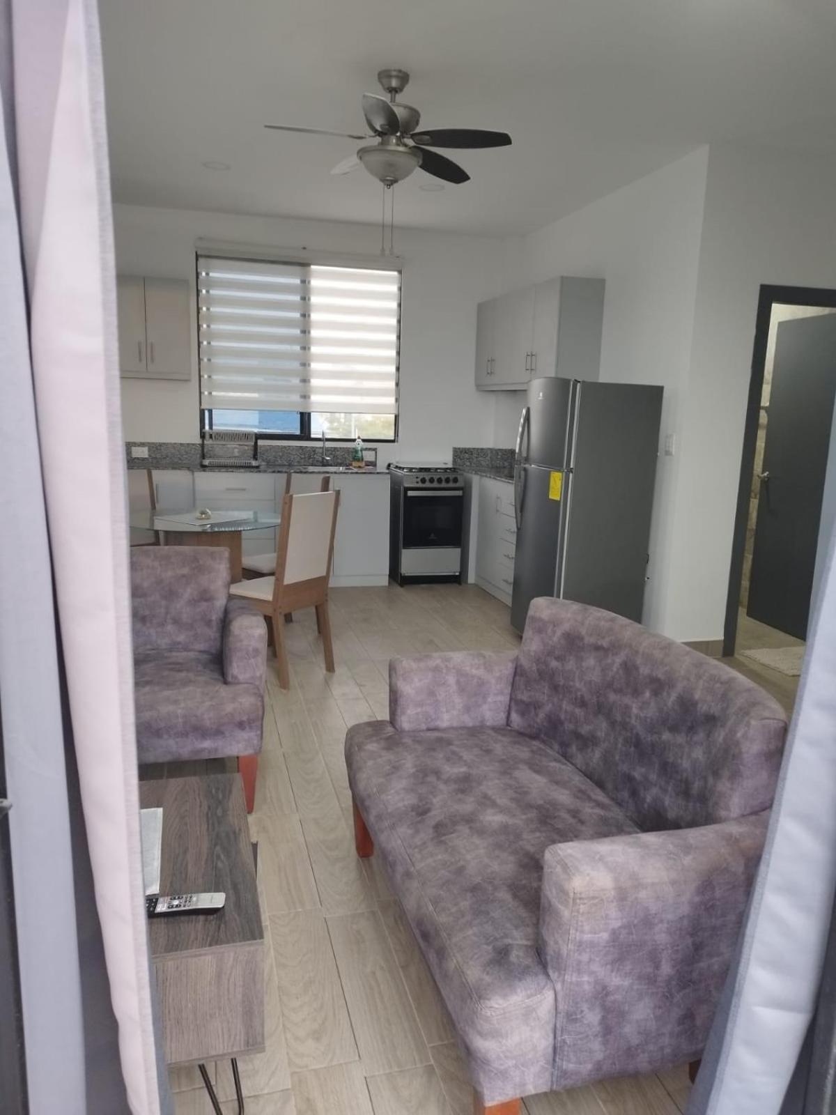 Ballenita Suites