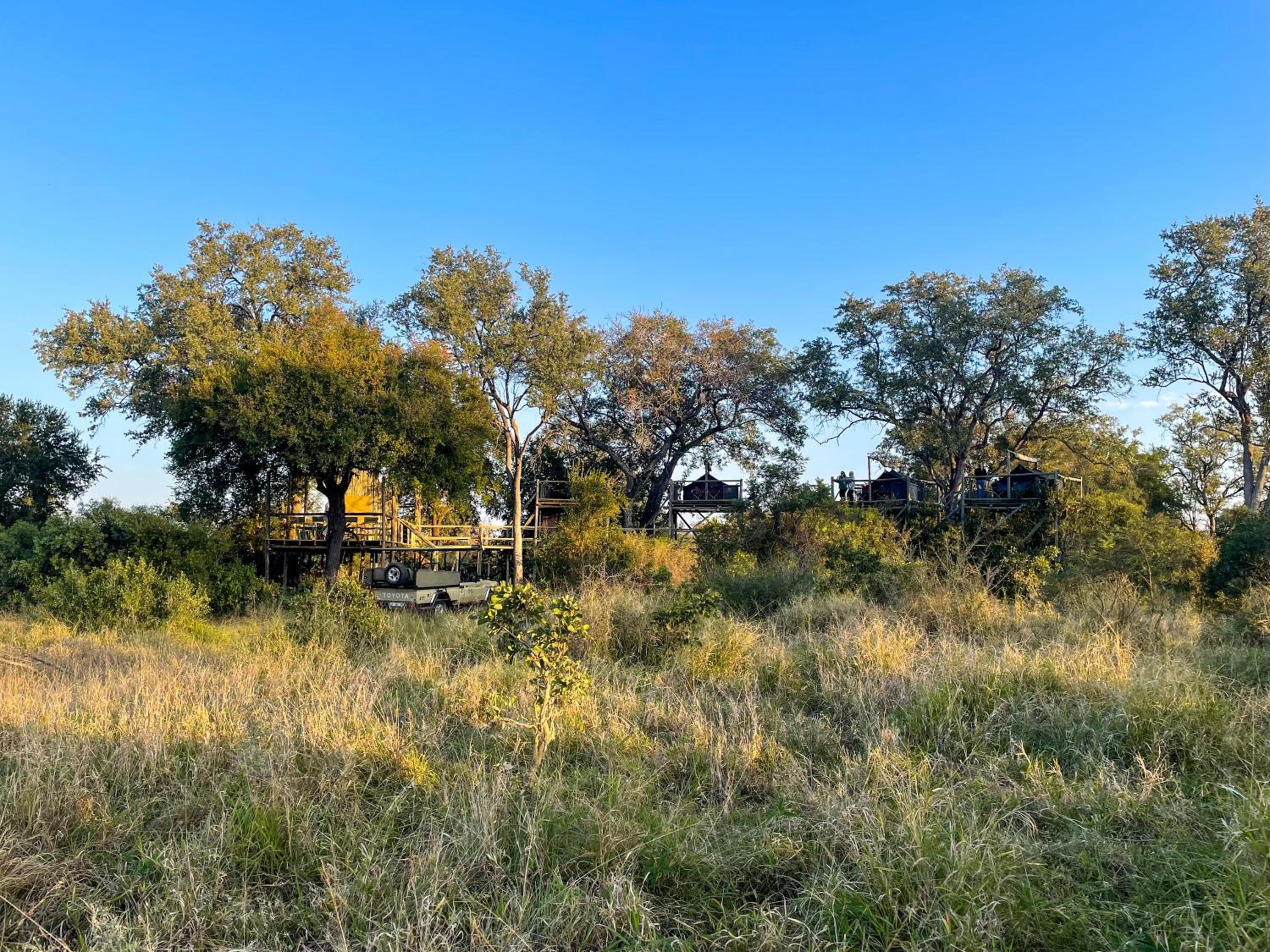 Rhino Walking Safaris