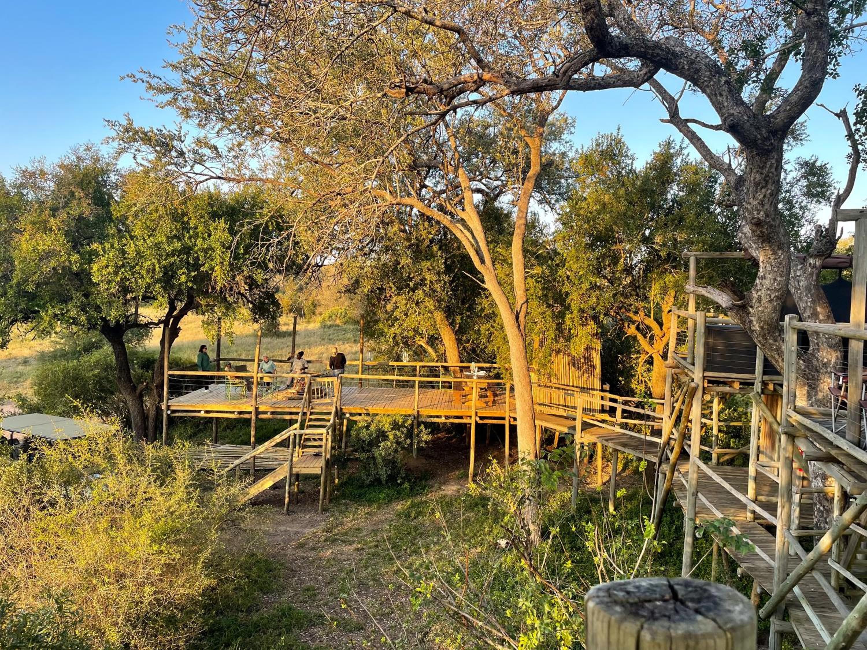 Rhino Walking Safaris