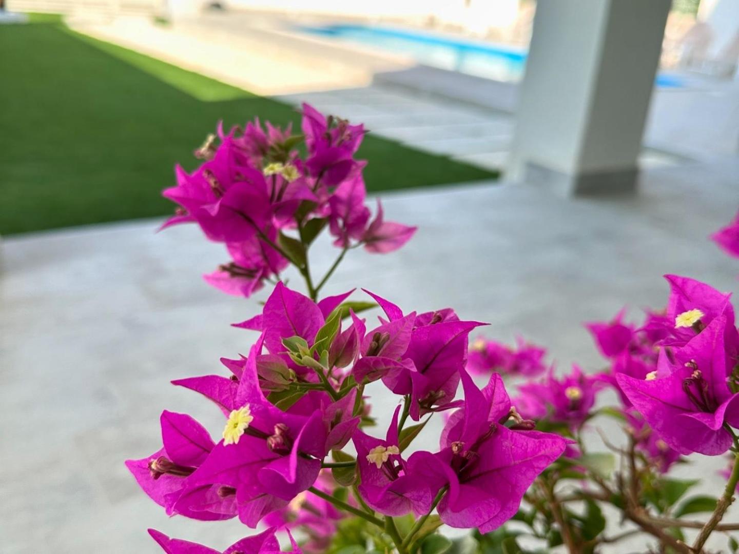 Casa Vacanze Giorgia