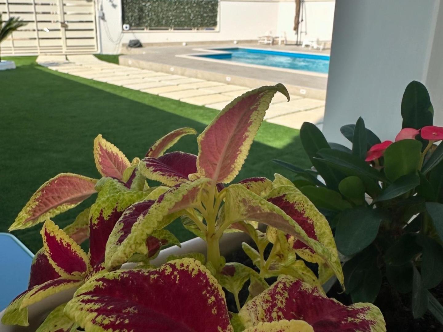 Casa Vacanze Giorgia