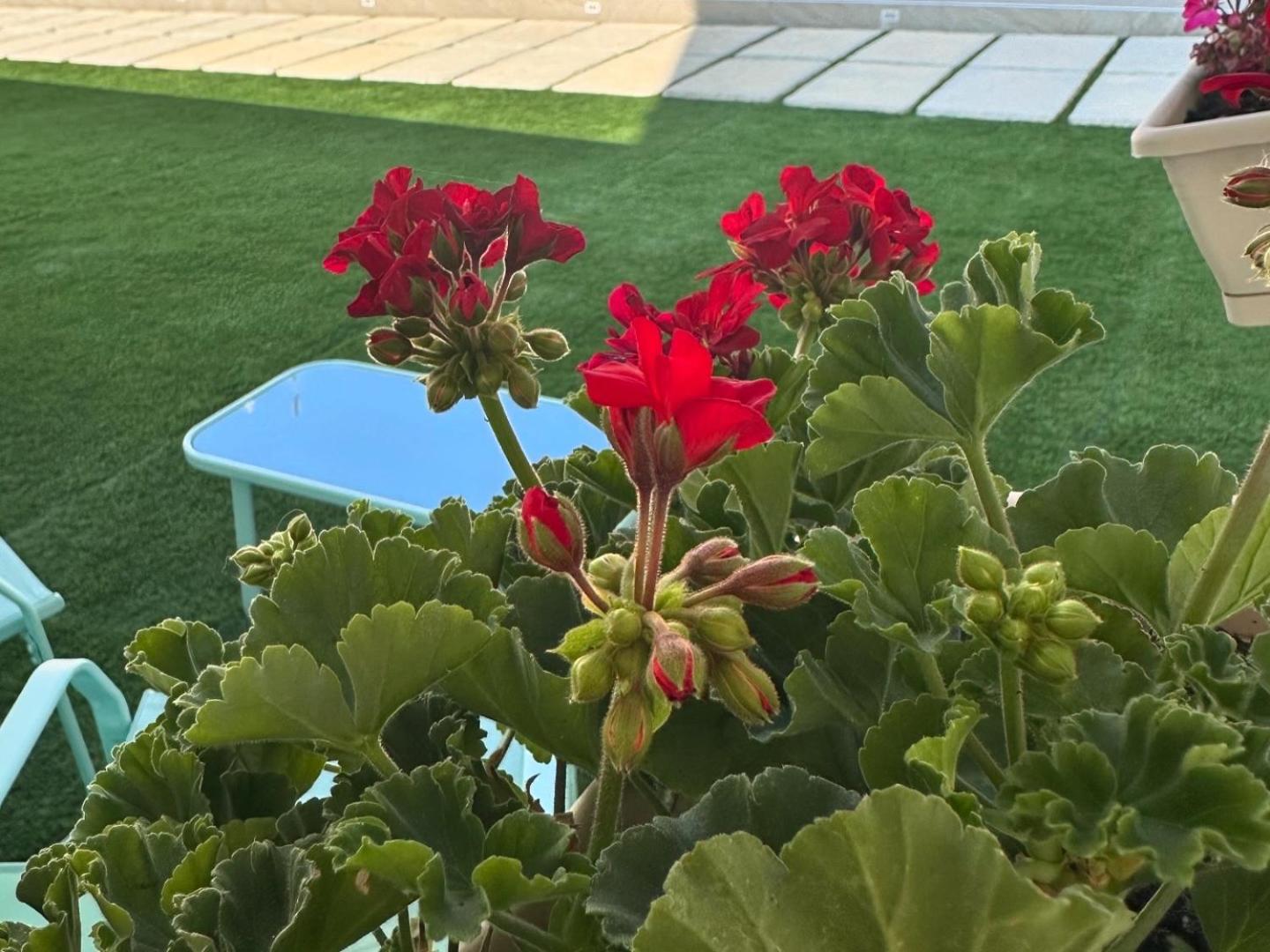 Casa Vacanze Giorgia