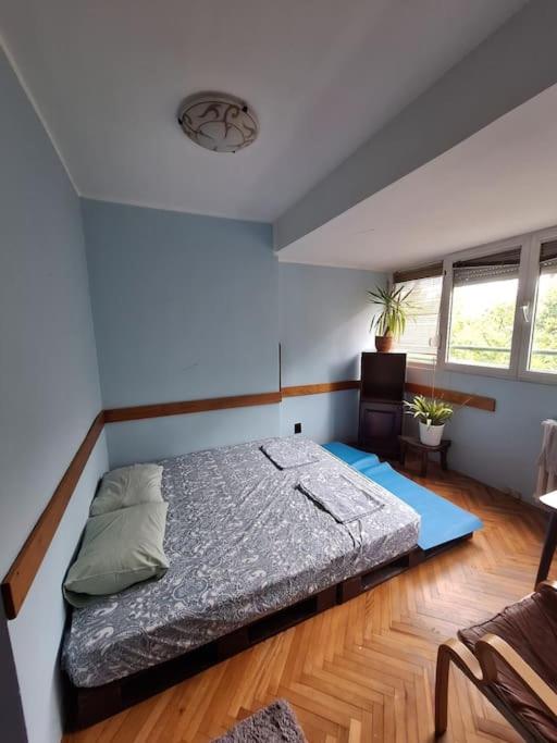 Jupiter apartment