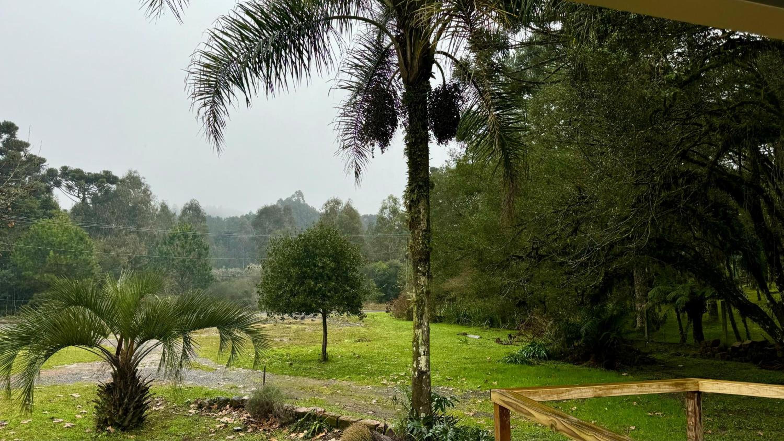 Casa na serra gaúcha!