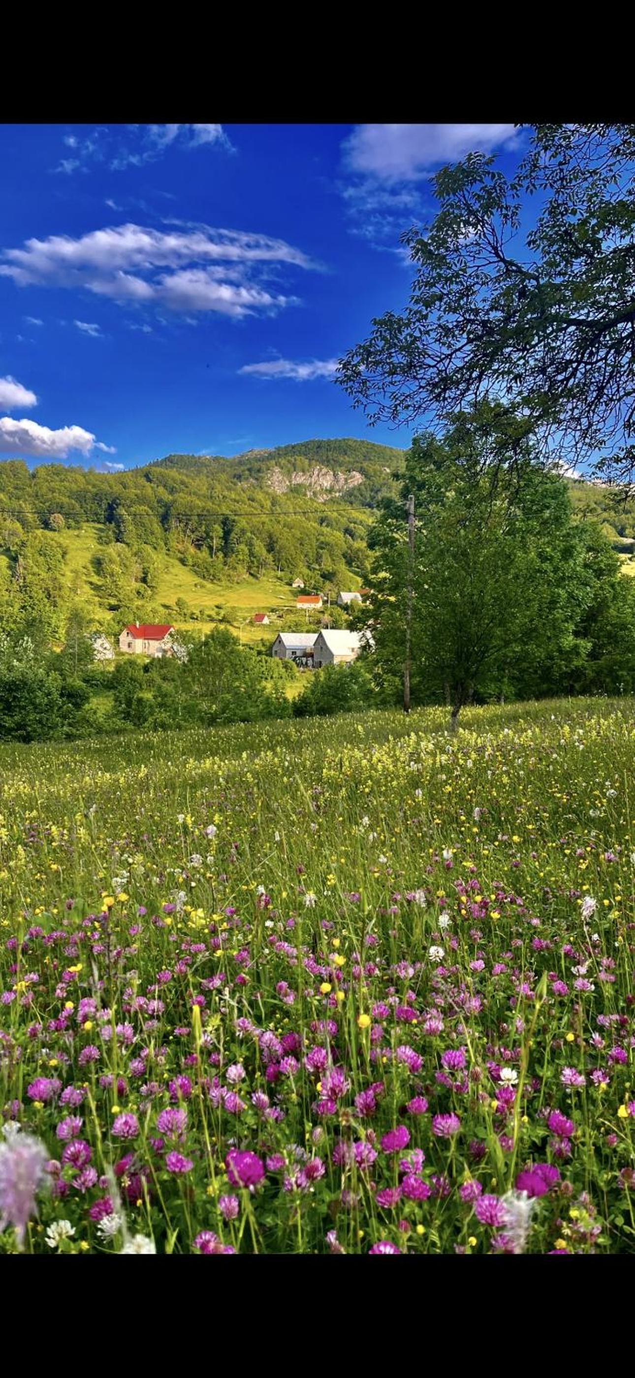 Stara kuća Smrijačno