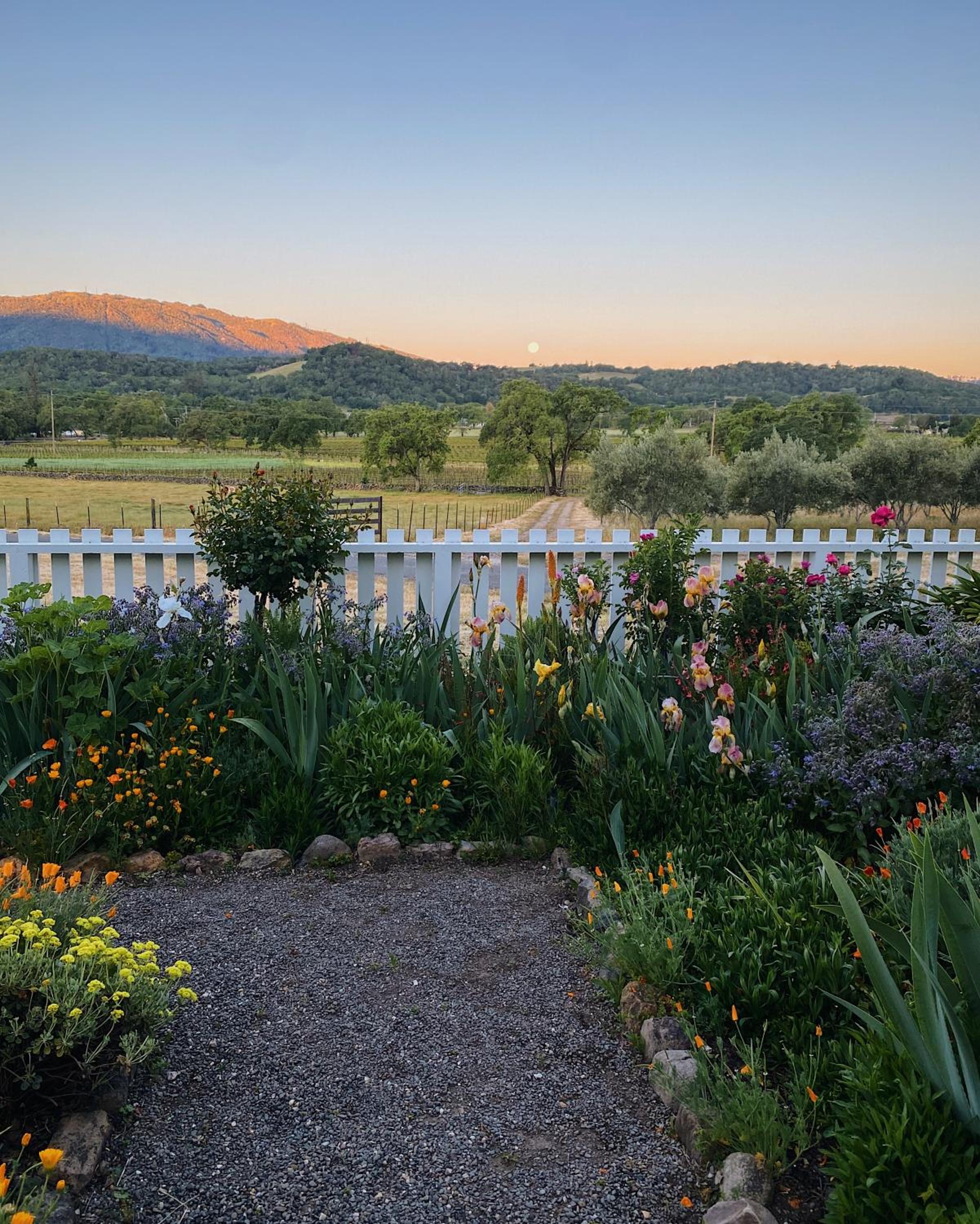 Beltane Ranch