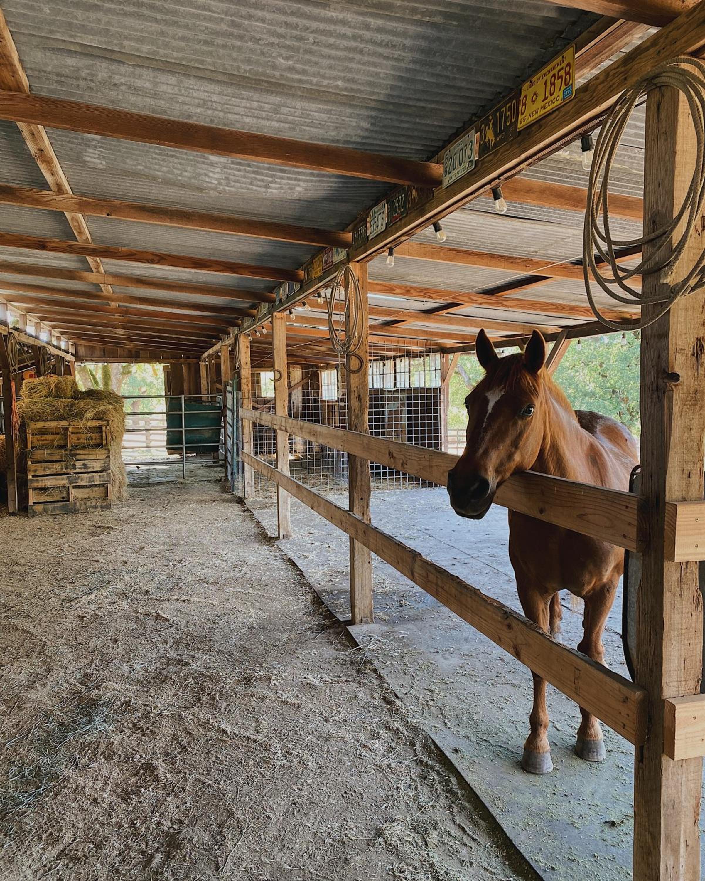 Beltane Ranch