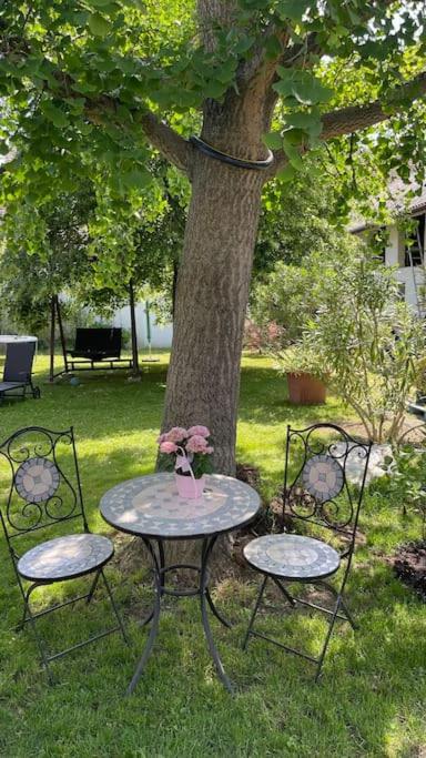 Charmantes Cottage Appartement