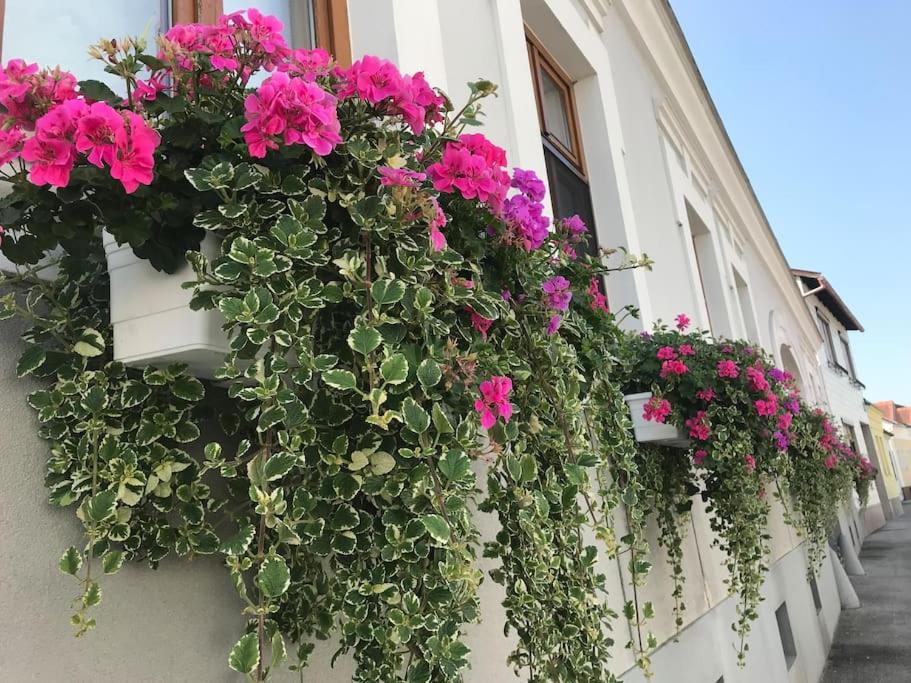 Charmantes Cottage Appartement