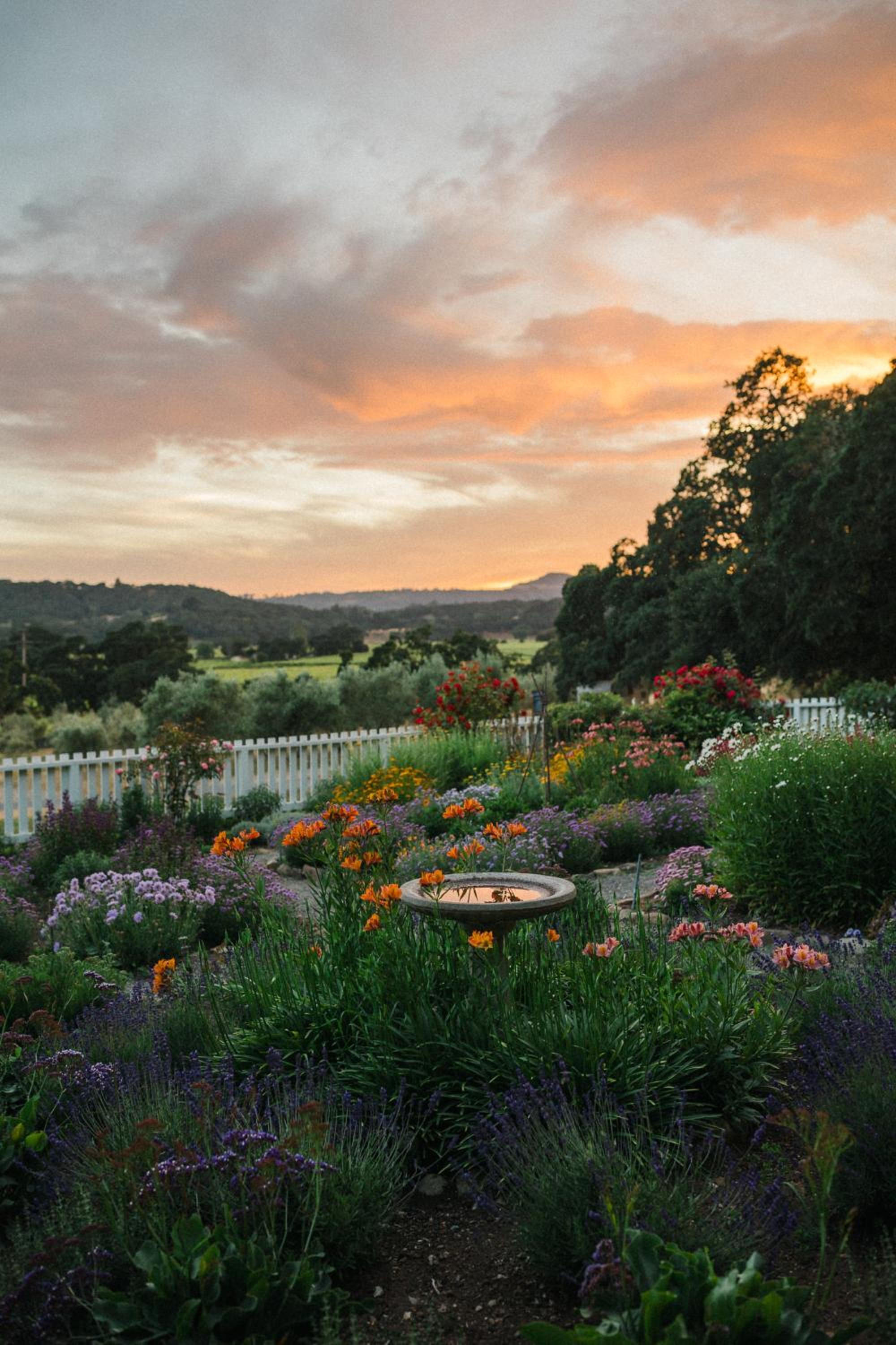 Beltane Ranch