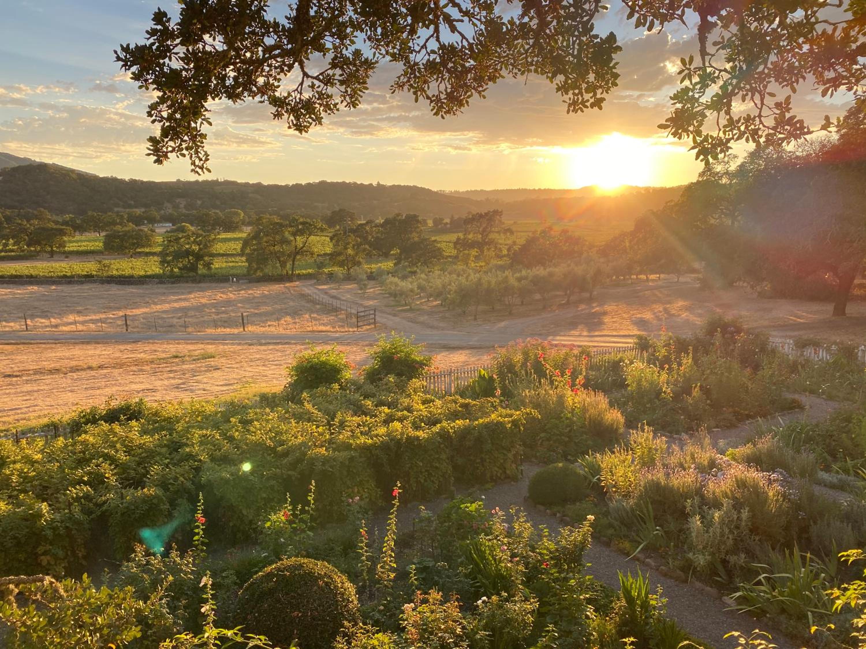 Beltane Ranch