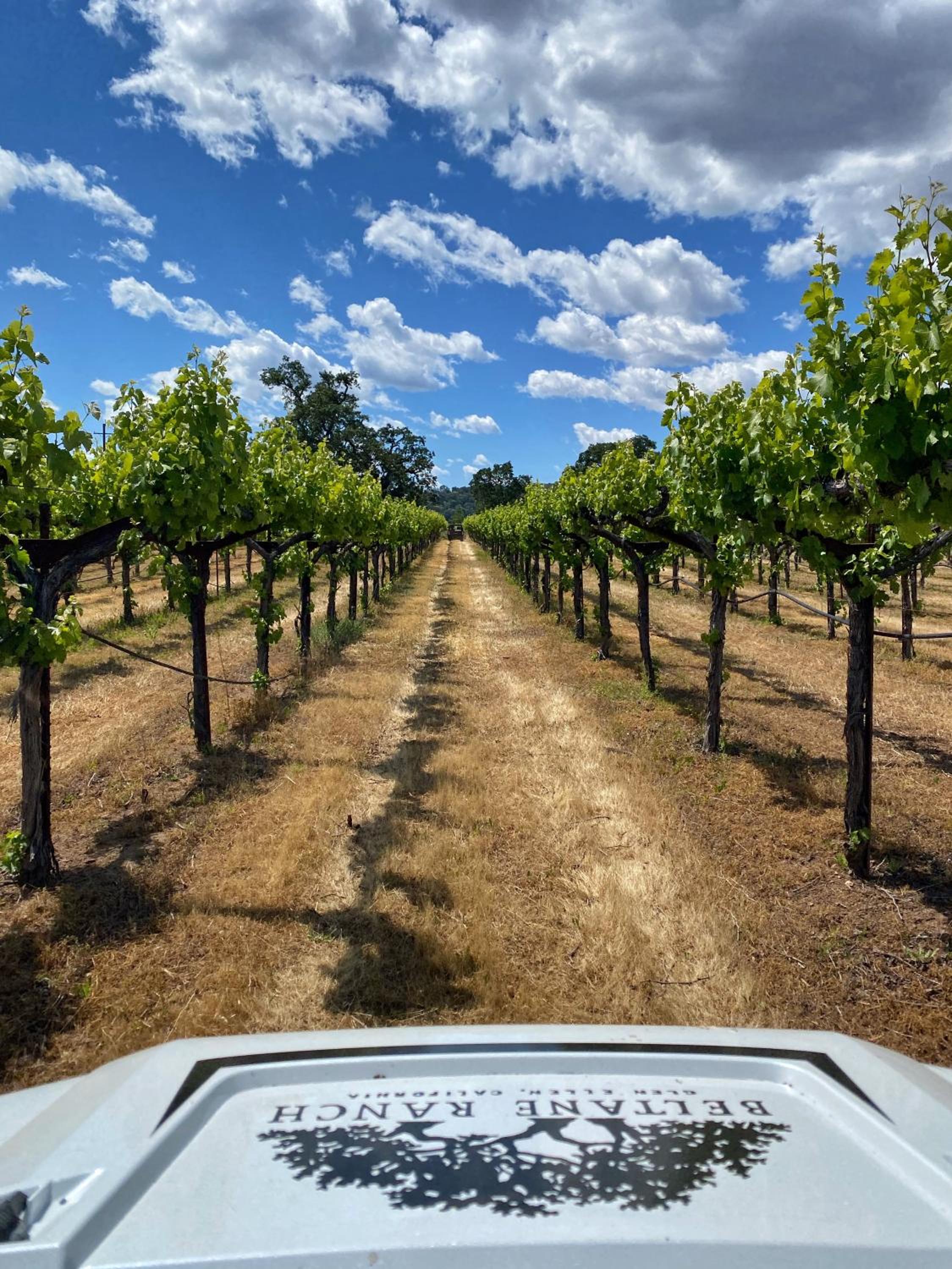 Beltane Ranch