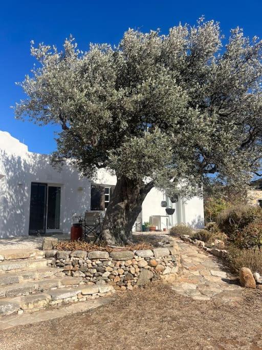 Serene Villa close to Aliki & Paros Airport view 5