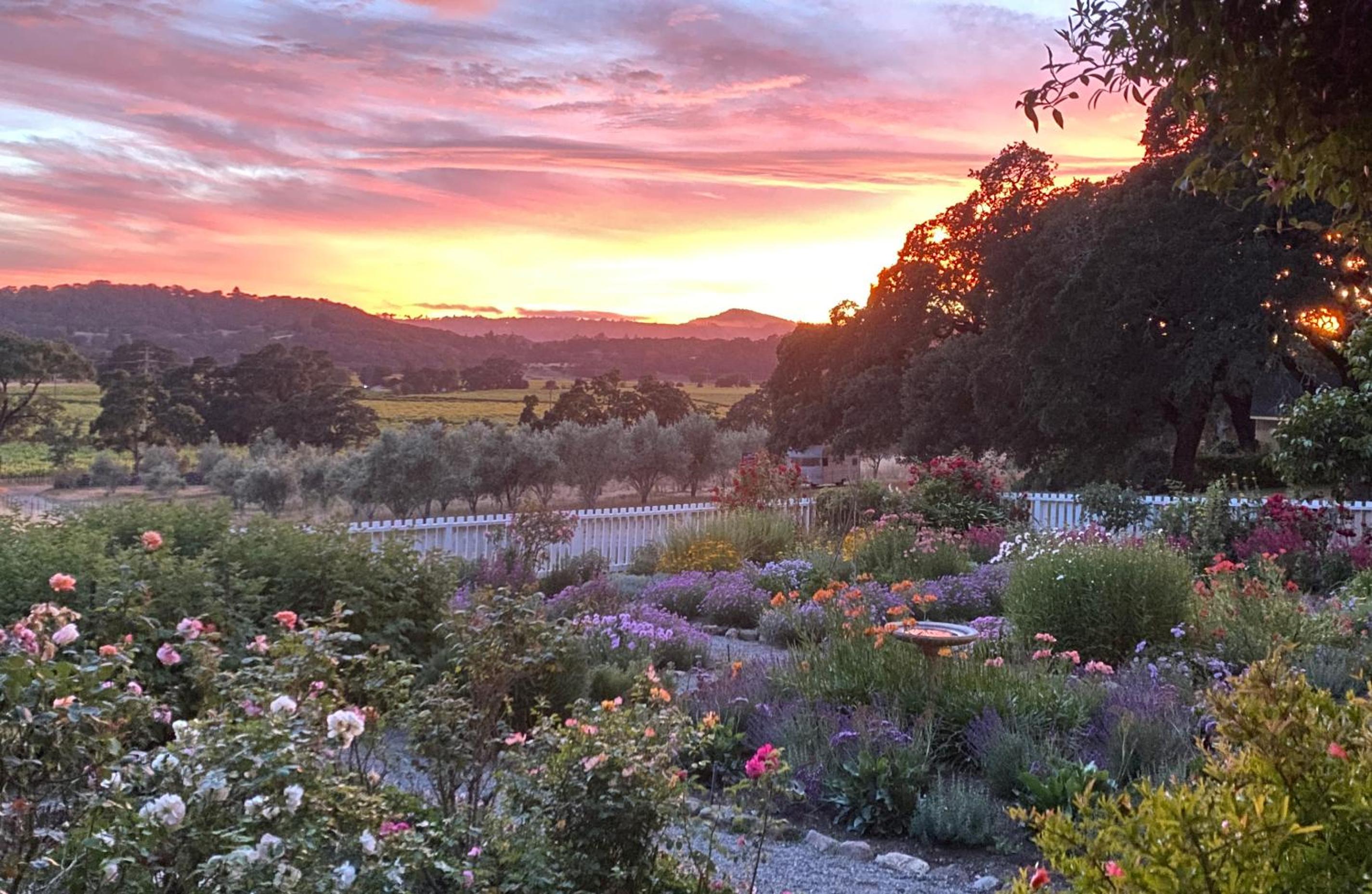 Beltane Ranch