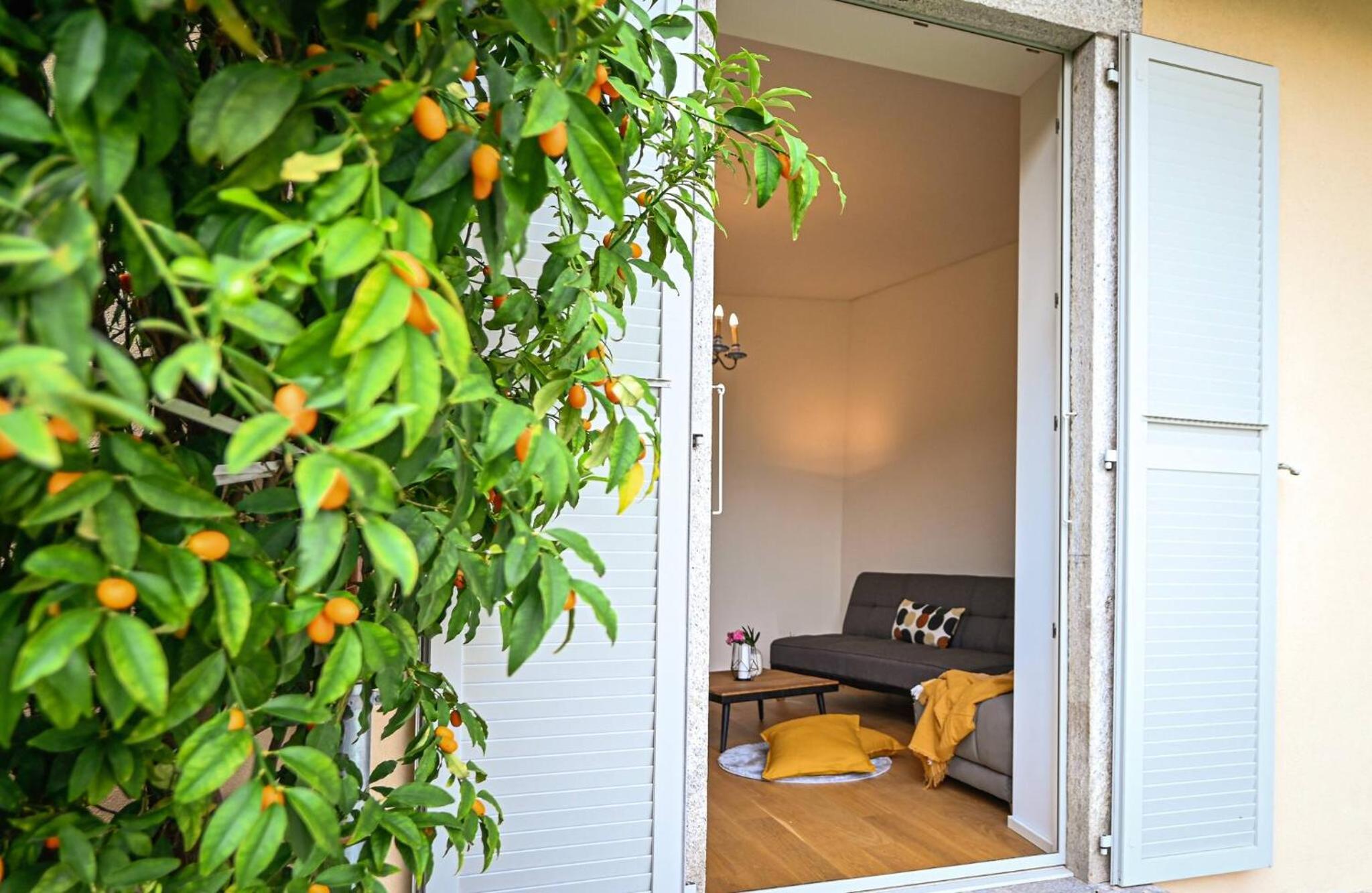 One Only Central Suite Garden