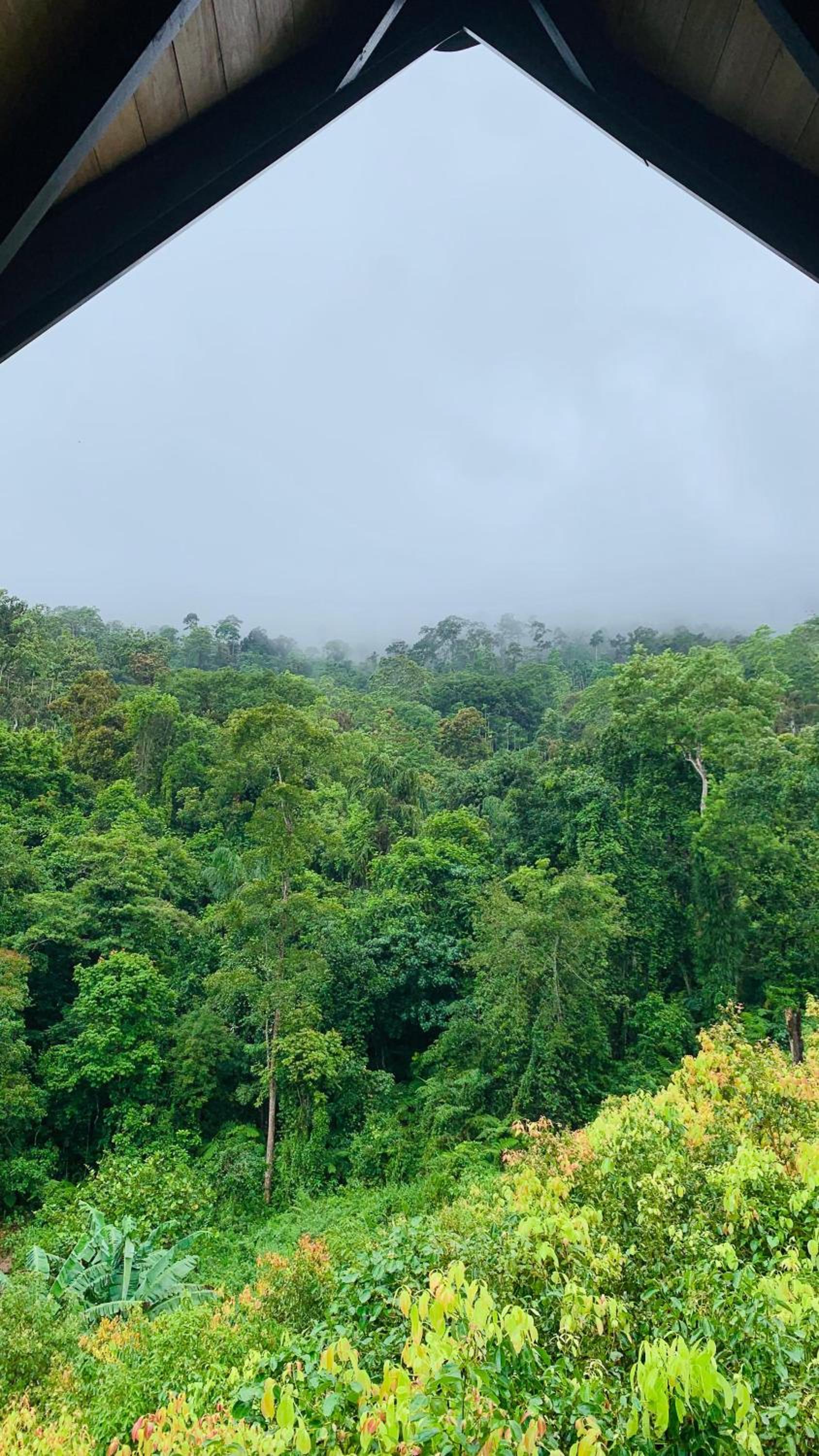 Cannelle Hill Cabanas
