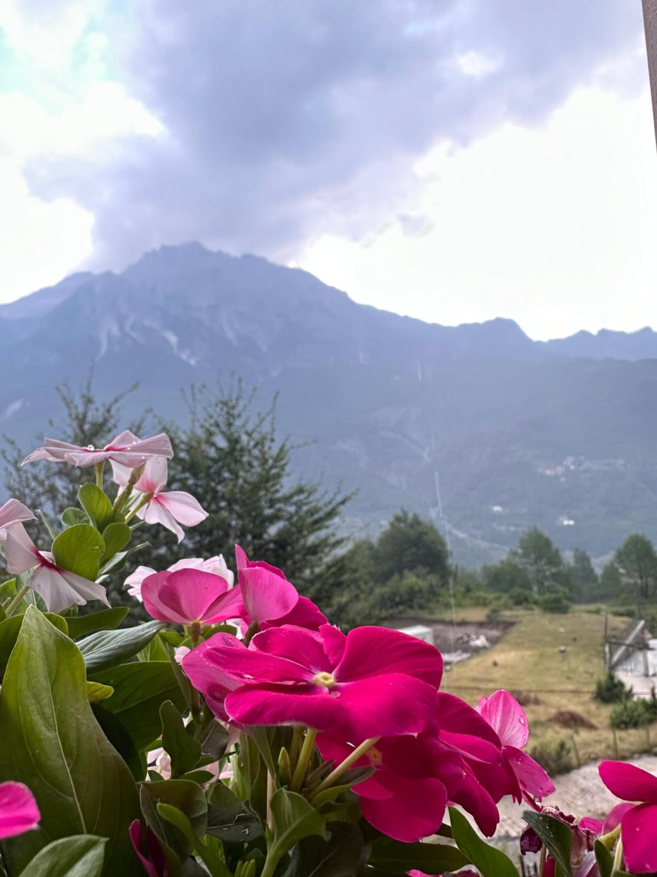 Hotel Vellezrit Guri