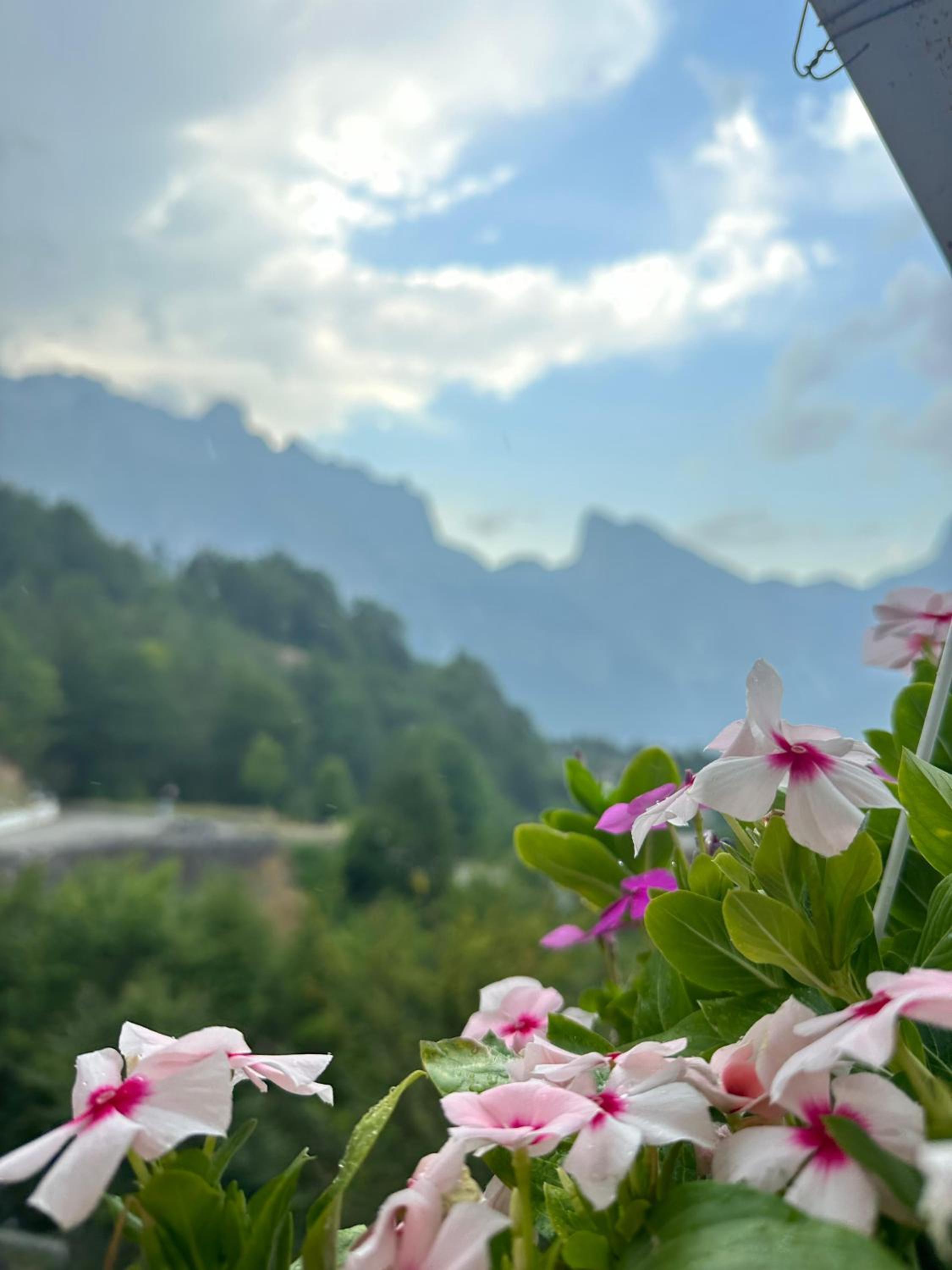 Hotel Vellezrit Guri