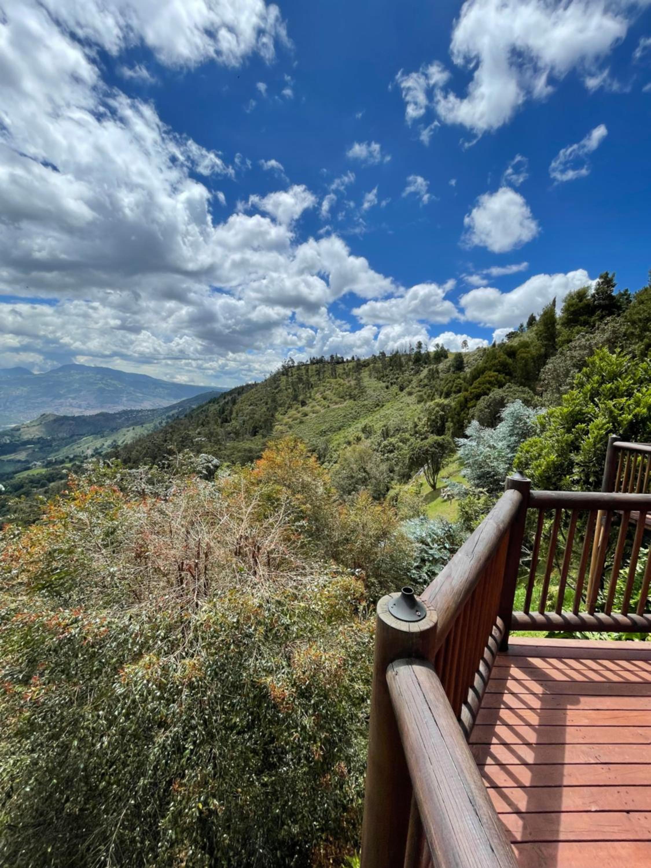Vista del cielo