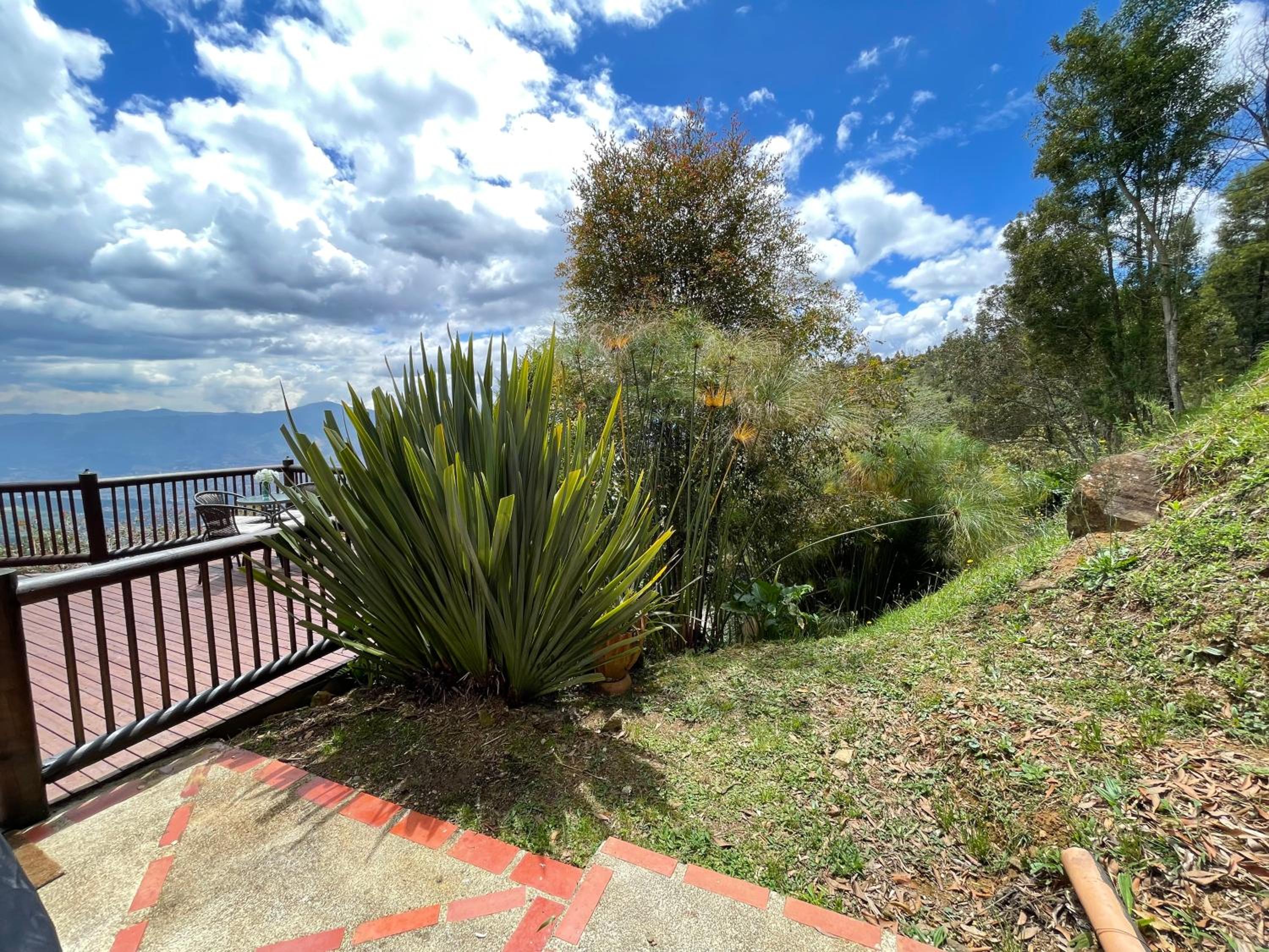 Vista del cielo