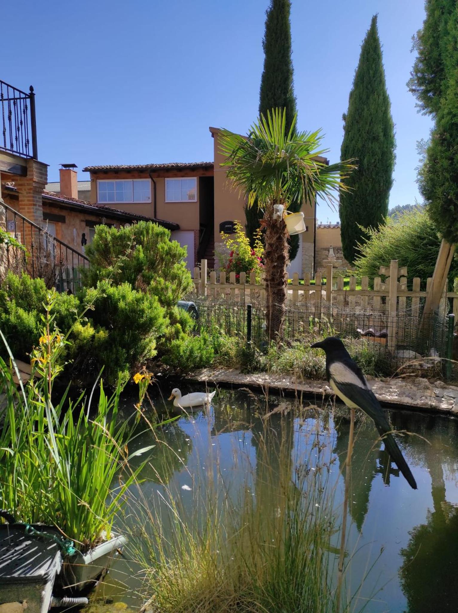 Casa Rural Valle del Duero