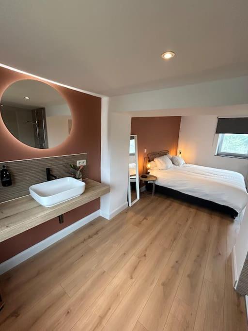 Petite maison très sympa qui accepte les animaux