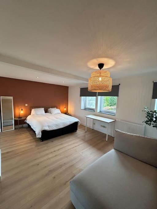 Petite maison très sympa qui accepte les animaux