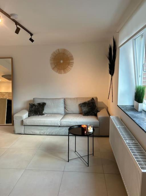 Petite maison très sympa qui accepte les animaux