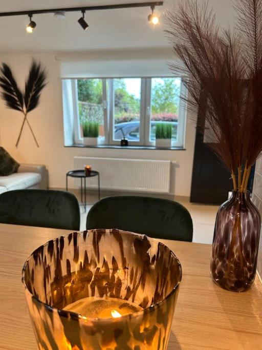 Petite maison très sympa qui accepte les animaux