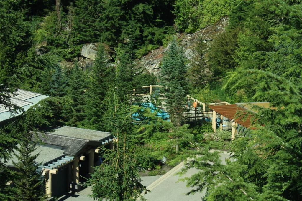 Whistler Highcamp
